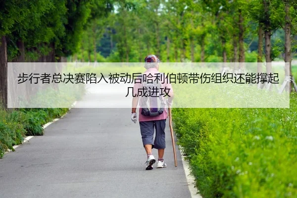 bu-xing-zhe-zong-jue-sai-xian-ru-bei-dong-hou-ha-li-bo-dun-dai-shang-zu-zhi-hai-neng-cheng-qi-ji-cheng-jin-gong-2-287.jpg
