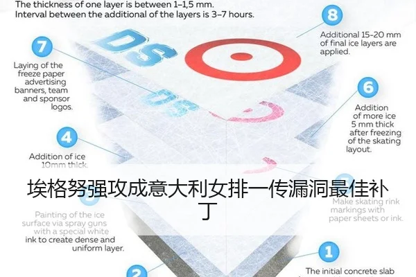 埃格努强攻成意大利女排一传漏洞最佳补丁