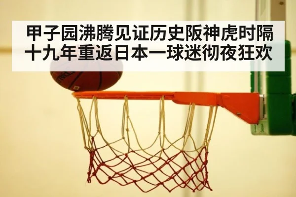 甲子园沸腾见证历史阪神虎时隔十九年重返日本一球迷彻夜狂欢